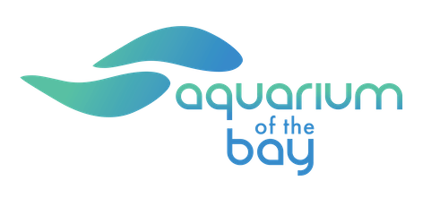 Aquarium of the Bay_San Fracisco_California_Logo