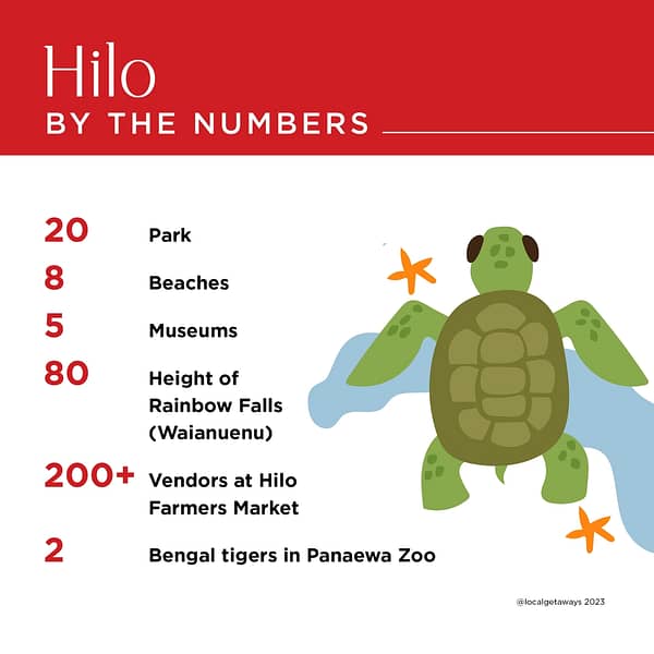 Hilo, Big Island, By the numbers