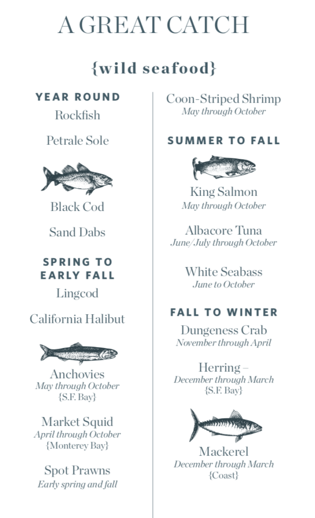 Wild Seafood chart-Maria Finn-Sustainable Seafood