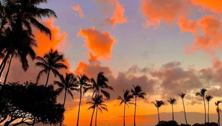 sunset dining Oahu