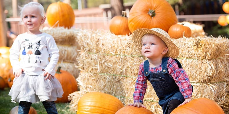 Fall Festival-Do-Tahoe-October-credit @tahoedonner-feature-800x400