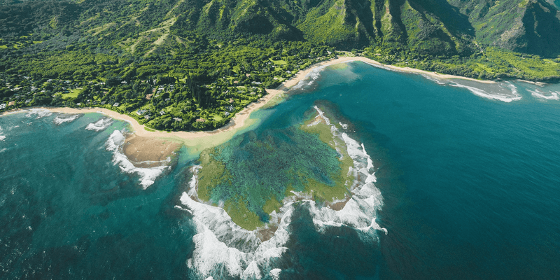 best-scuba-diving-kauai-feature-image-800x400-karsten-winegeart