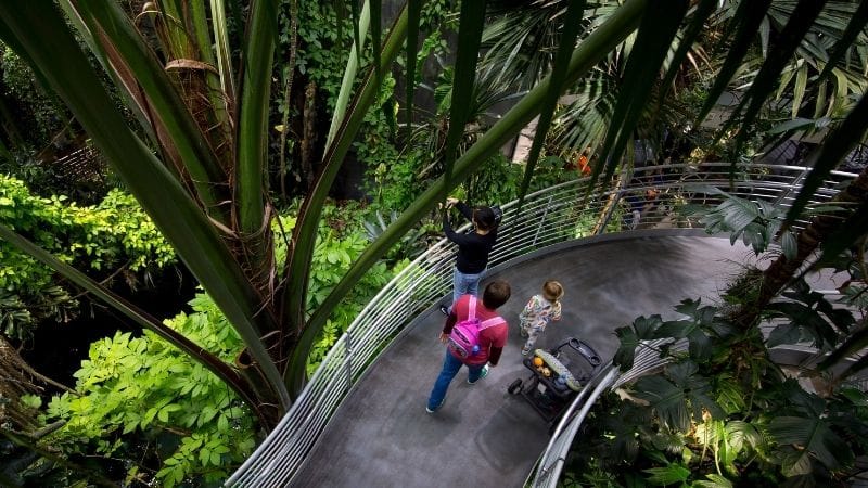 California Academy of Sciences-Things to do-SF-800