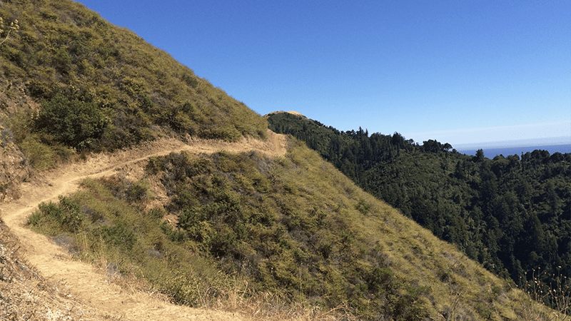 California-hiking-Big-Sur-alltrails-Jane King-800