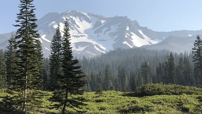 California-hiking-Mount-Shasta-alltrails-Hyung Park-800
