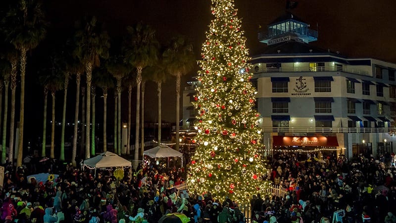 Jack London Square Tree Lighting-East Bay-Annual Events-December-credit @jacklondonsquare-800x450