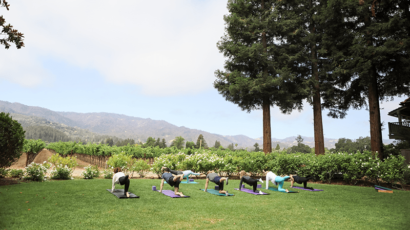 Yoga-Wine Country-Things to Do-June-credit Harvest Inn St. Helena Napa Valley-800x450