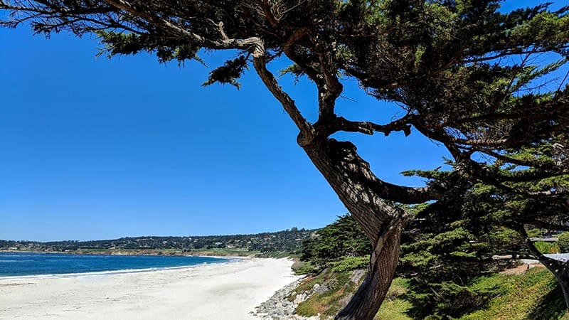 Carmel_Beach-Do-Monterey-Road_Trip-Credit_richard_james_7mhvF-o5E8E_unsplash-800x450