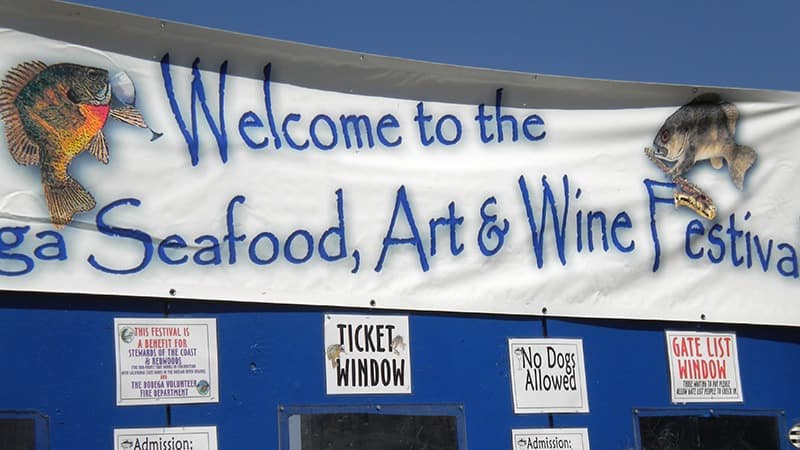 Bodega Seafood Art and Wine Festival-Wine Country-Courtesy Sonoma County Tourism-800x450