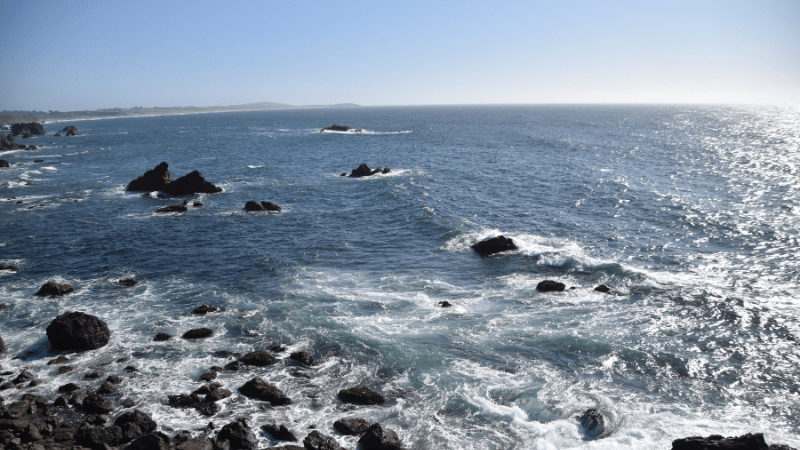 NorCal-Secret Coastal Spots-Doran Park Beach-Credit Bill Aboudi-800x450
