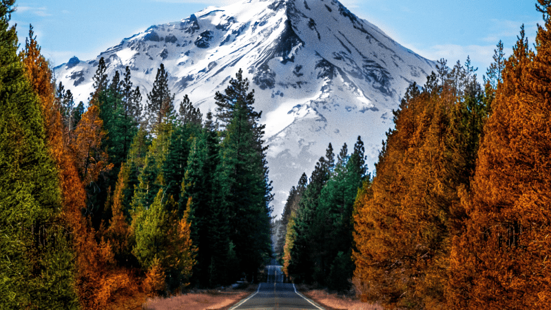 NorCal-Seven Wonders-Mount Shasta-Credit Ryan Hoffman-800x450