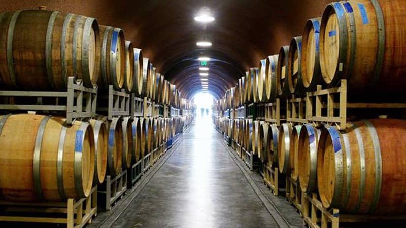 Palate to Palette Muscardini Cellars-Do-Wine Country-Sonoma-Oct22-Courtesy Muscardini Cellar-800x450