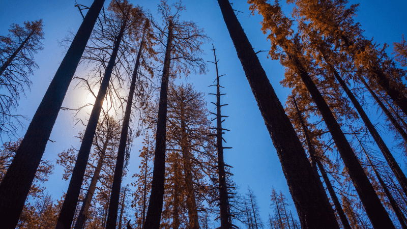 Hiking John Muir Trail