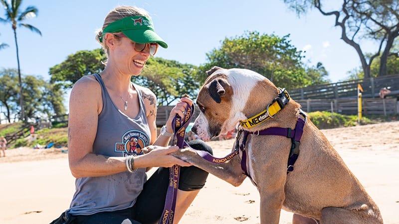 Maui Humane Society-Do-Maui-Volunteer-Beach Buddies-credit Maui Humane Society-800x450