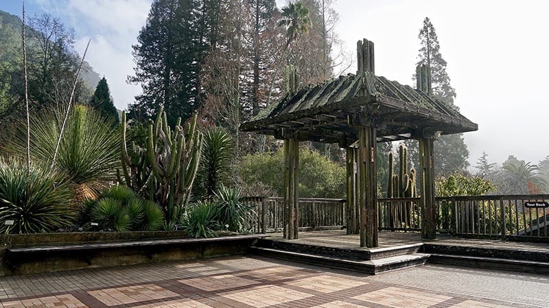 East-Bay-UC-Botanical-Garden-Courtesy-Visit-Berkeley-800