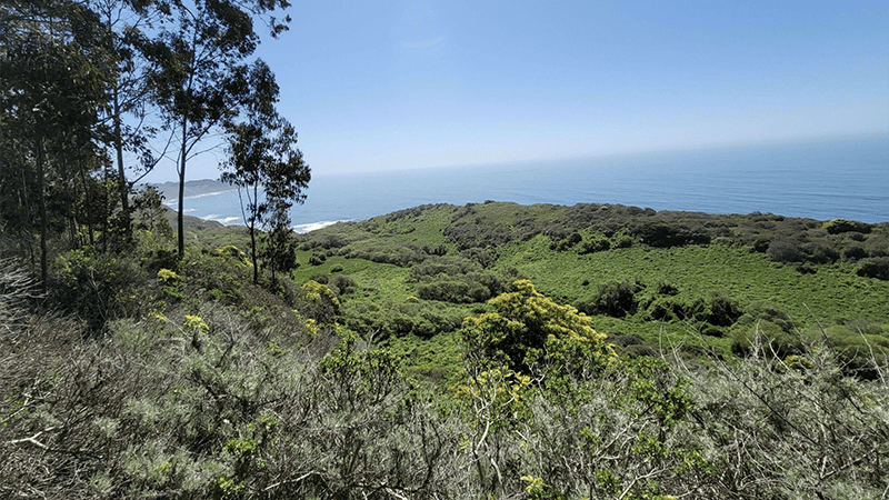 10 Coolest Hikes In Northern California