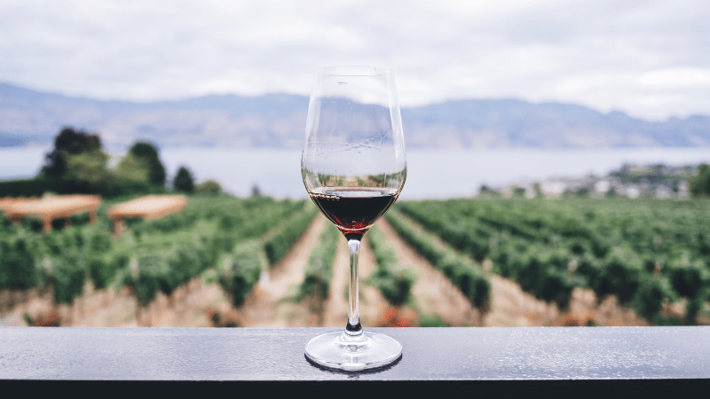 Discovering Santa Cruz Wine Country - Kym Ellis