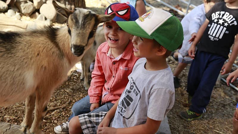 KidZone Museum-Do-Truckee-Fall Festivals-credit KidZone Museum Facebook-800x450