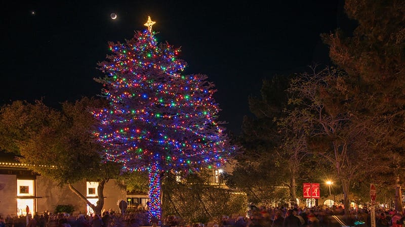 Carmel Holiday Tree Lighting-Do-MP-December-credit @visitcarmel-800x450