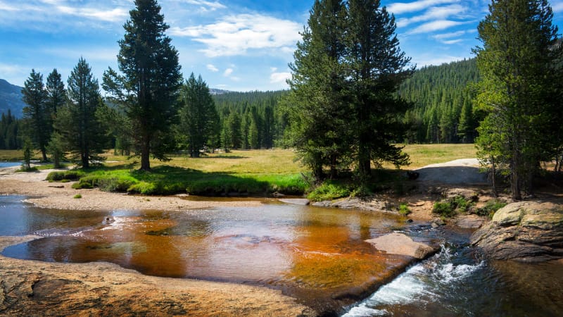 John muir trail sequoia national park online