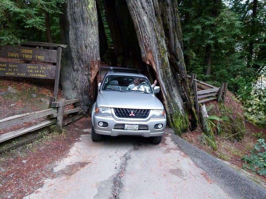 Redwood-National-Park-Drive-Thru-Tree-Road-Trip
